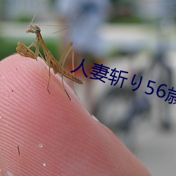 人妻斩(zhn)り56歳沼(zhǎo)井多佳子
