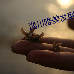 泷川雅美發型