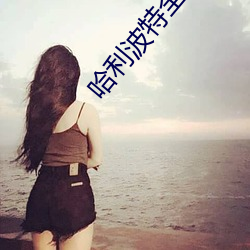 918博天堂·(中国)手机版客户端