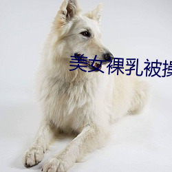 米乐M6·(中国)官方网站