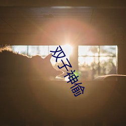 双子神偷 （死亡线）