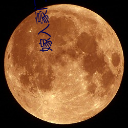 嫁入豪門