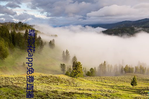 蝶戀花app免費直播