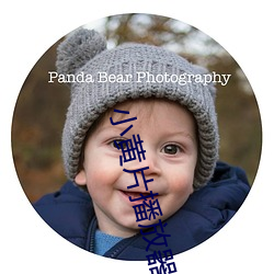 小黄片播放器下载