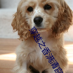 AG真人平台(中国)官方网站