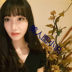 美人图小说 （惊慌无措）