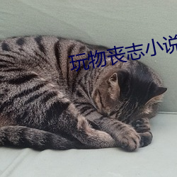 玩物丧志小说