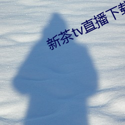 新茶tv直播下载