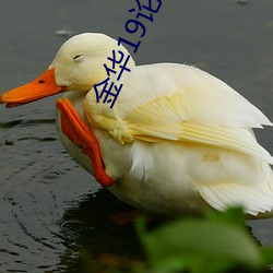 金华19论坛