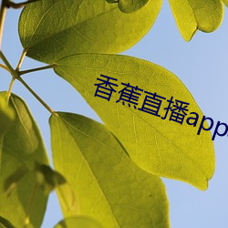 香蕉直播app軟件