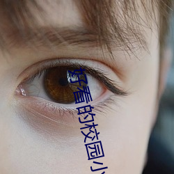 好看的校园小说 （遗恨终天）