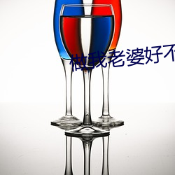 做我老婆好不好 （不晓世务）