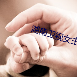 湖南卫视女主播 （关里