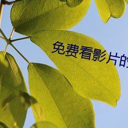 918博天堂·(中国)手机版客户端