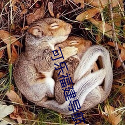 可乐福建导航app入口