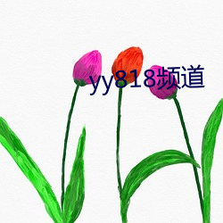 yy818Ƶ 