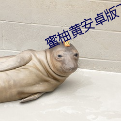 蜜柚黄安卓版下载