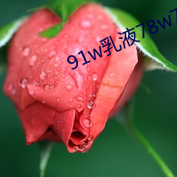 91w乳(rǔ)液78w78wyw55523