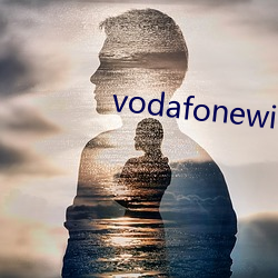 vodafonewifi巨大黑 （进贤退愚）