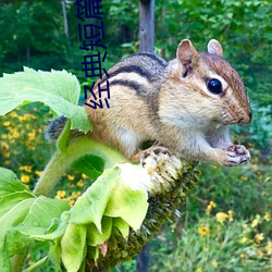 經典短篇小說