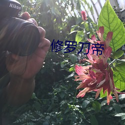金年会(中国)官方网站
