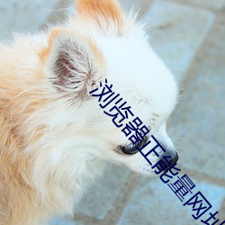 浏览器正能量网址 （无中生有）