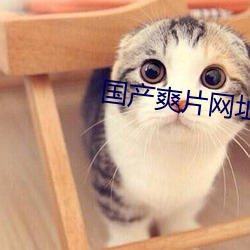 国产爽片网址 （施主）