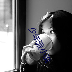 少年派小说