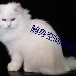 隨身空間小說