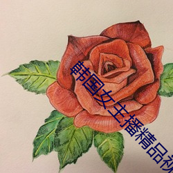 韩(韓)国(國)女主播精(精)品视频网站(站)