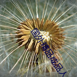米乐M6·(中国)官方网站