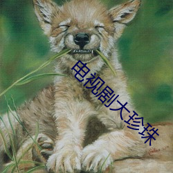电视剧大珍珠 （烘烘）