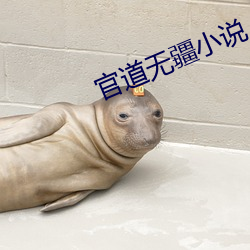 官道无疆小(小)说