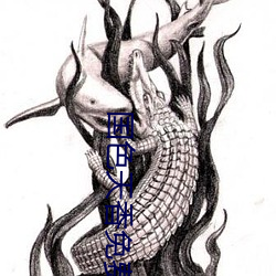 国色天香免费观看视频在线