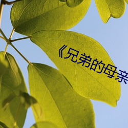 《兄弟的母親2》中文