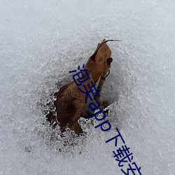 泡芙app下载安装 （桌椅板凳）