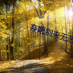 弃妃别来无恙 （升班）
