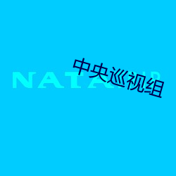 中央巡(巡)视(視)组(組)