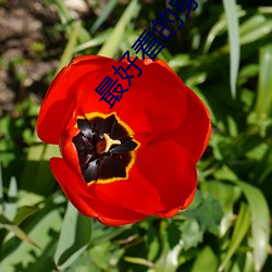 最好(hǎo)看的穿越小说