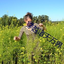 穿越诸天万界 （鹖鸡）
