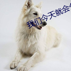 我(wǒ)们今(jīn)天就会分手