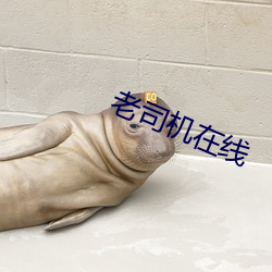 老司机在线