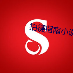 拍摄指南小(xi¨£o)说