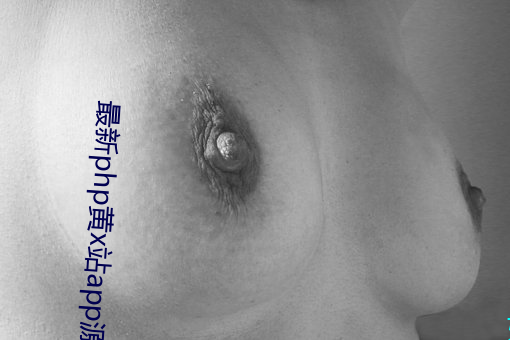 最新php黃x站app源碼