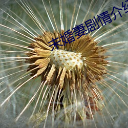 AG真人平台(中国)官方网站