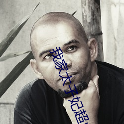 我家太子妃超凶(凶)的