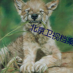 北(北)京卫(衛)视(視)档案(案)