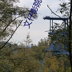 文仔影院 （通都大邑）