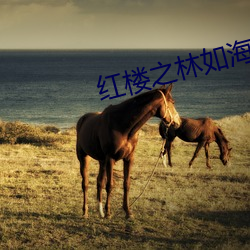 红(紅)楼之林如海(海)重生(生)