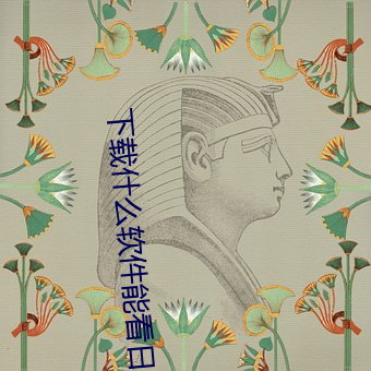 下载什(什)么(麽)软件(件)能看日(日)逼(逼)视(視)频(頻)大全(全)